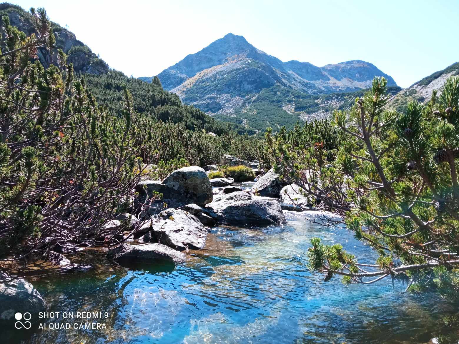 Pirin